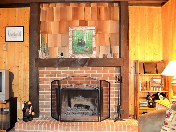 Wood burning Fireplace