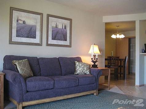 Living Rooom Open Concept to Dining and Kitchen