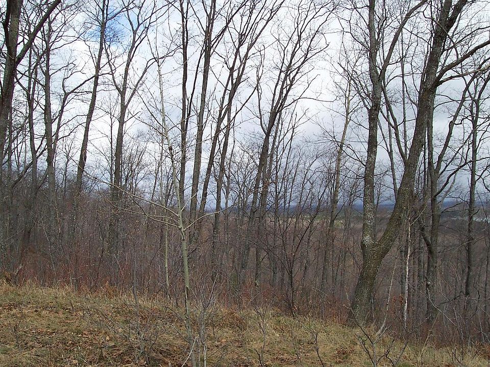 2nd image of Tower Rd