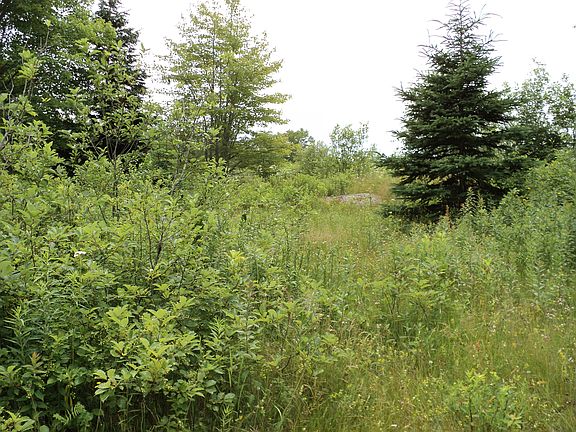 5th image of 00 Old Eastport Road