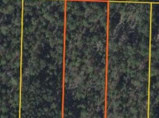 808 Skunk Valley Rd, Southport, FL 32409