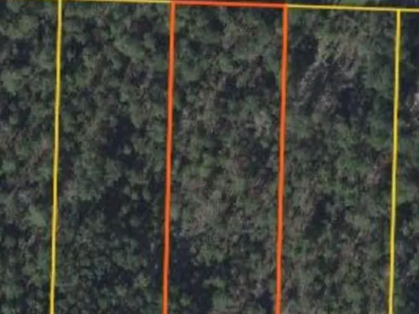 808 Skunk Valley Rd, Southport, FL 32409