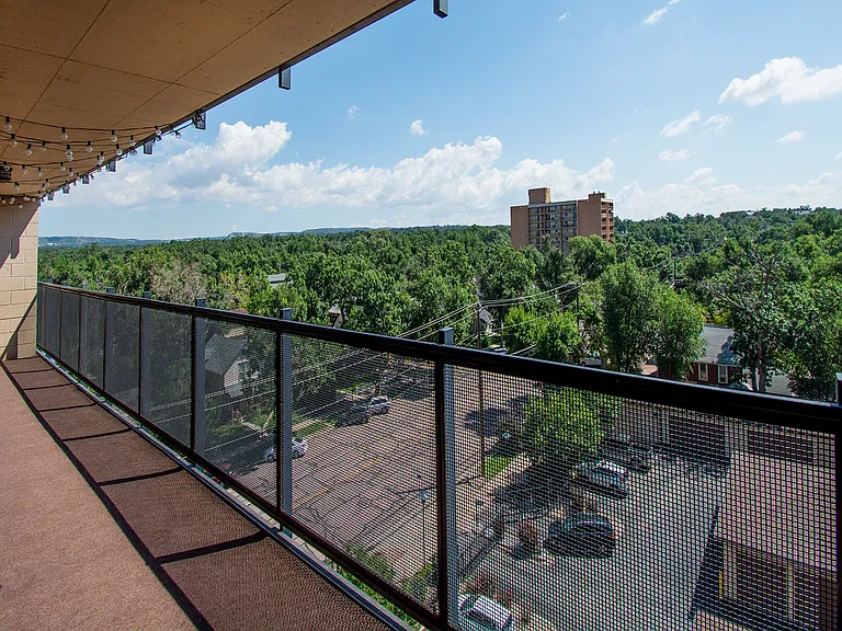 417 E Kiowa St #707 — Photo 10
