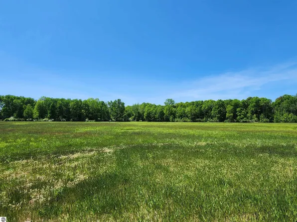 S Porter Rd, Breckenridge, MI 48615