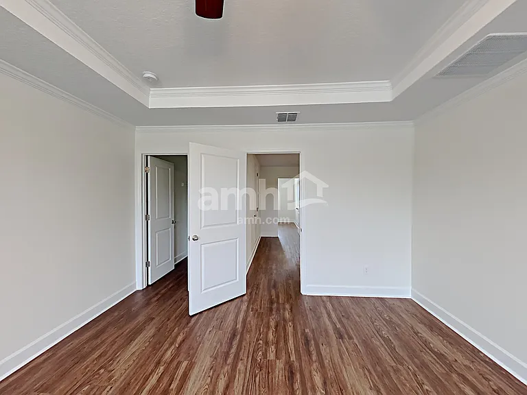 1397 Celery Palm Cv — Photo 14