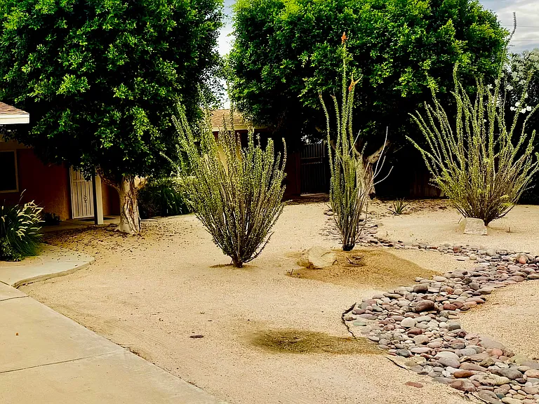 43540 Joshua Rd — Photo 1