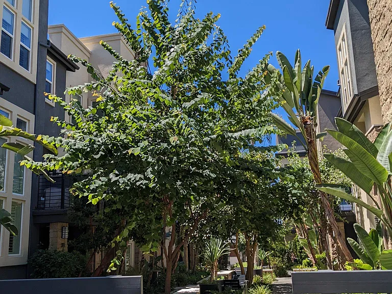 7855 Modern Oasis Dr — Photo 20