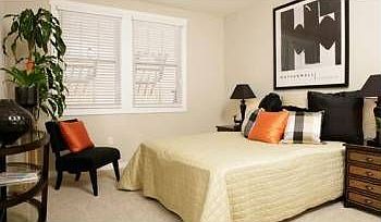 4th image of 20 Madison Ave APT 110