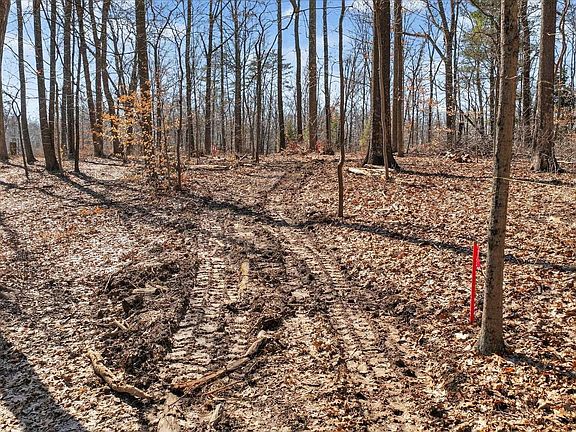 2nd image of 7594 Shilo North Rd