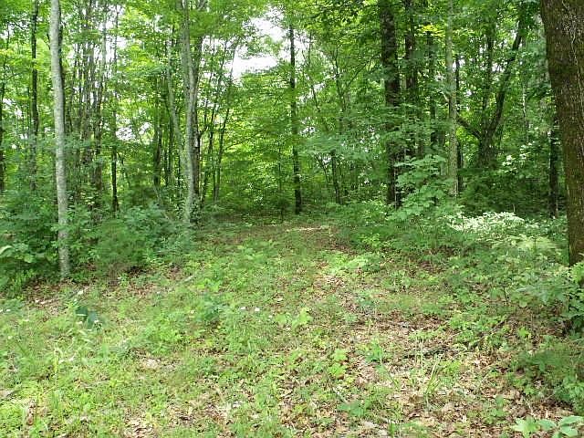 1st image of 0 Garren Rd