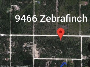 9466 Zebrafinch Ave, Weeki Wachee, FL 34614