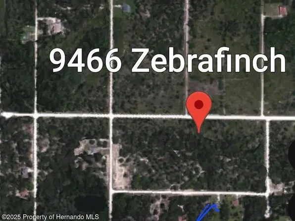9466 Zebrafinch Ave, Weeki Wachee, FL 34614