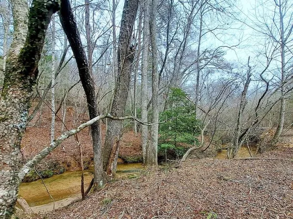 0 Charles Pl, Mineral Bluff, GA 30559