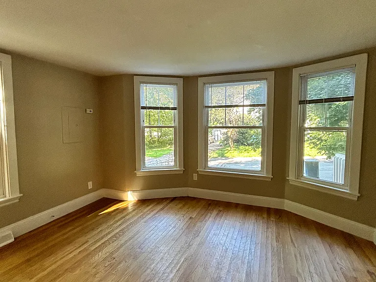 113 Bolton St #1 — Photo 14