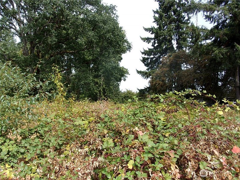 3rd image of 7727 146th Street SW