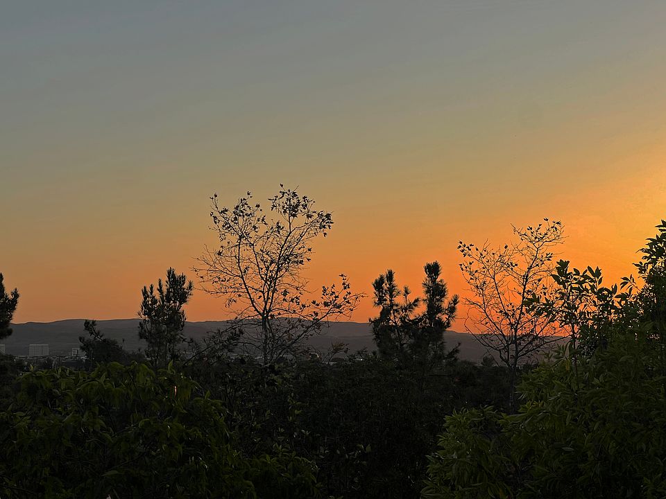 The view from the primary bedroom