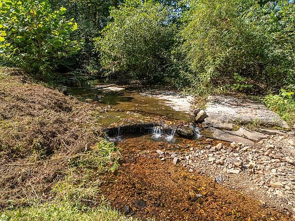 4th image of 772 Mink Branch Rd