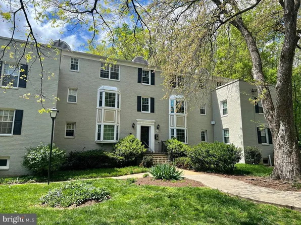 706 S Arlington Mill Dr #18203, Arlington, VA 22204