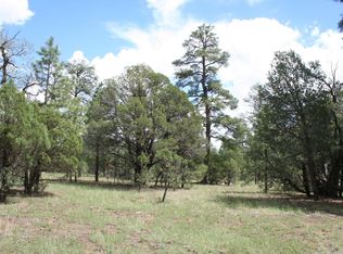 2169 Cody Cir, Happy Jack, AZ 86024