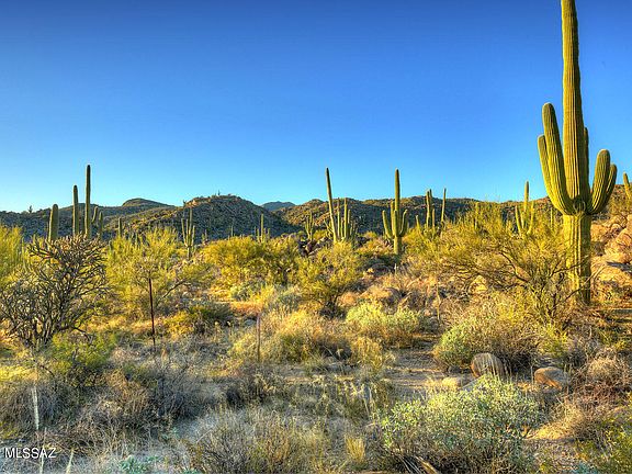 5th image of 1313 W Tortolita Mountain Cir #408