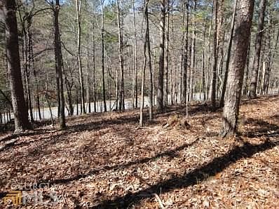 1st image of 163 Lone Bear Dr