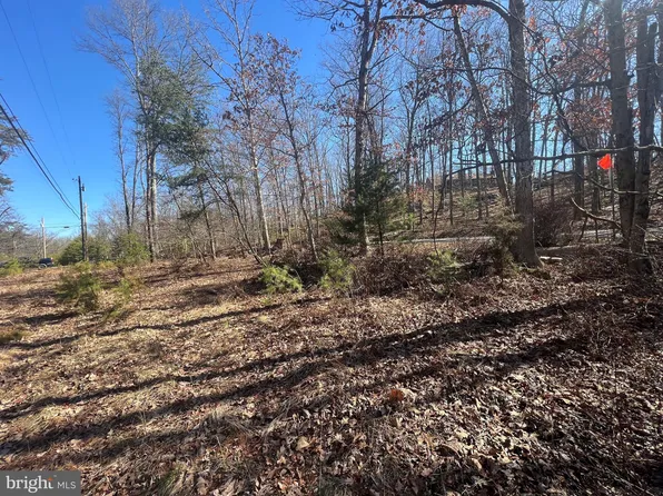 LOT 19 Dillons Run Rd, Capon Bridge, WV 26711