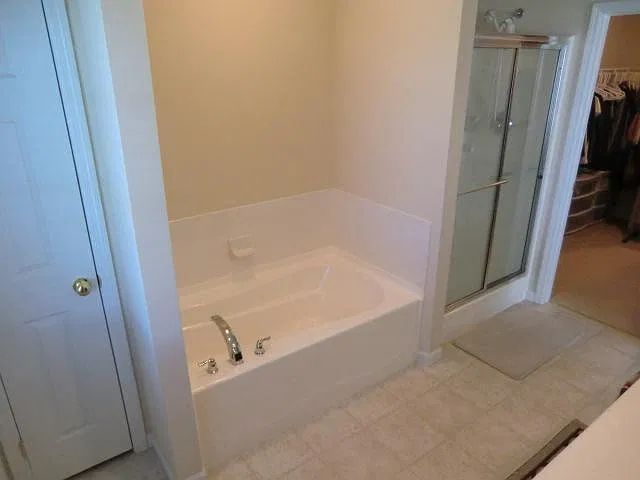 Master Bath Tub and Shower