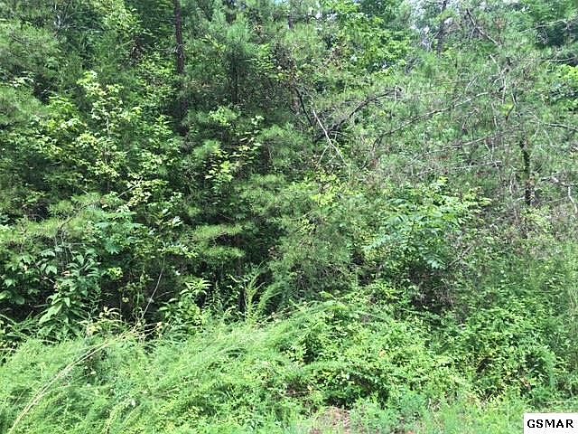 1st image of 725 Sky View Dr Lot 725
