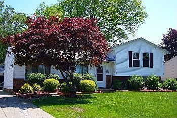 1st image of 901 E 346th St
