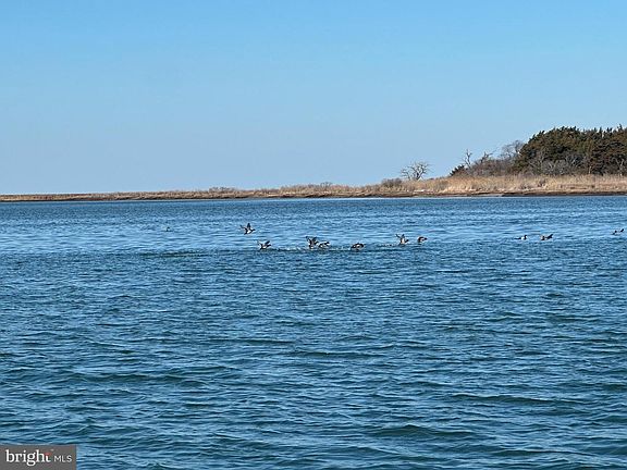 4th image of 0 Smith Island Rd