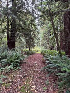 411 Leland Dr, Crescent City, CA, 95531