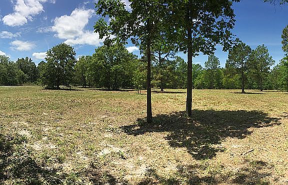 Cleared Cut and Ready!