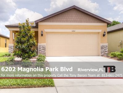 6202 Magnolia Park Blvd, Riverview, FL, 33578