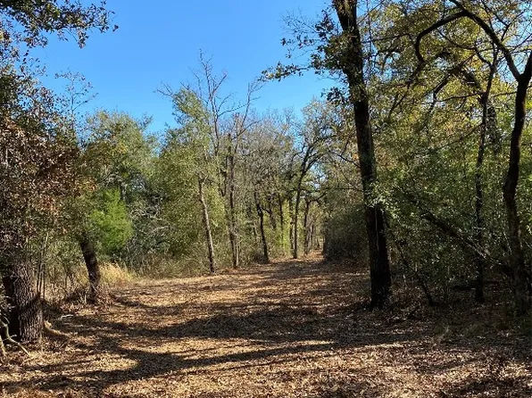 Highway 75, Buffalo, TX 75831