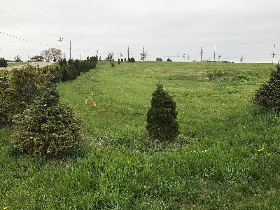 Beautiful Slinger lot