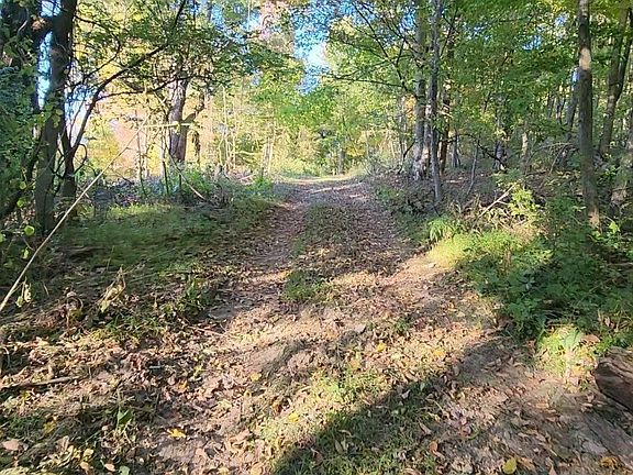 3rd image of 13187 Cooperrider Rd Lot B