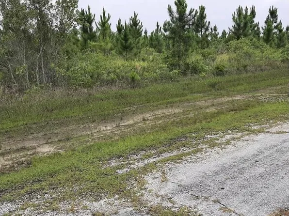 Calliandra Dr Lot 3, Indian Lake Estates, FL 33855