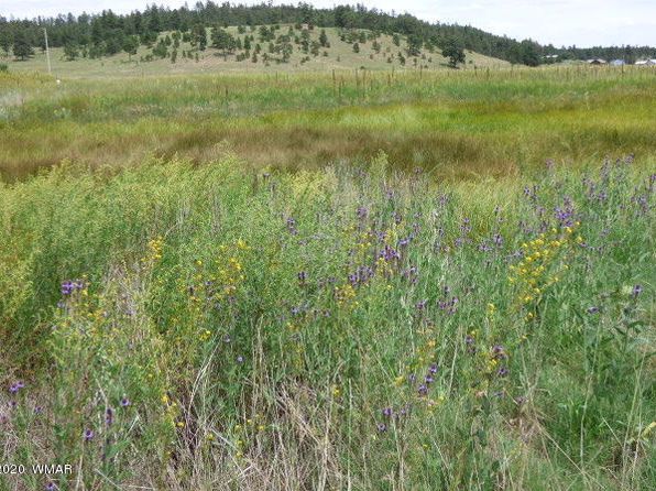 LOT-23A The Rnch #AT, Alpine, AZ 85920