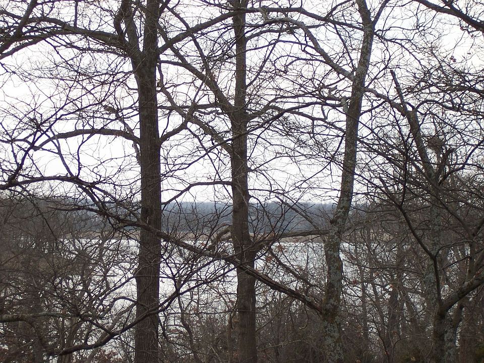 2nd image of 2353 Rose Marie Dr
