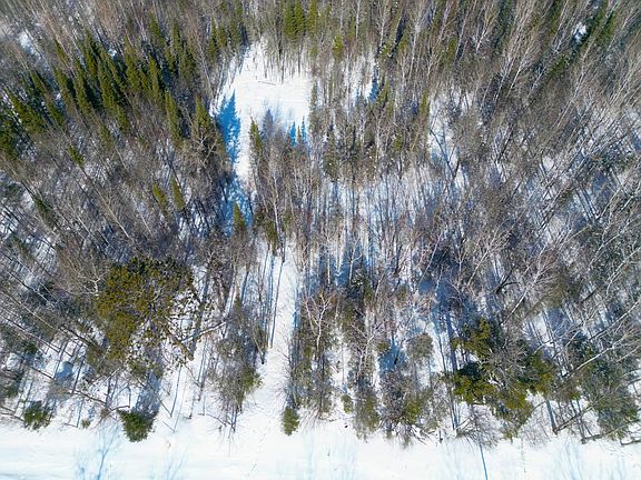 5th image of 72XX E Central Lakes Rd Lot A