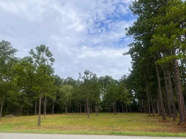 327 McLaurin Ave, Summerville, SC 29486