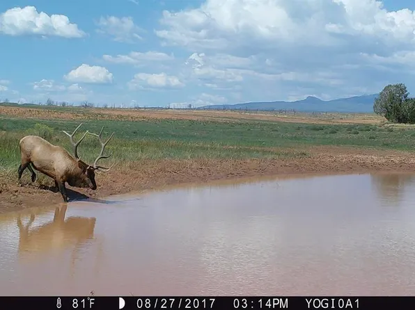 000 Akati Gulch Road, Hesperus, CO 81326