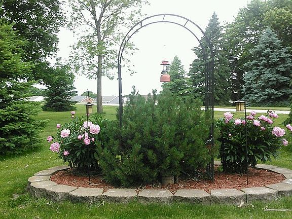 Front yard
