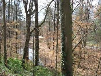 4th image of 9355 Indian Springs Dr
