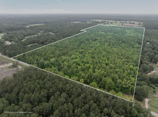 0 Scruggs Rd, Sumrall, MS 39482