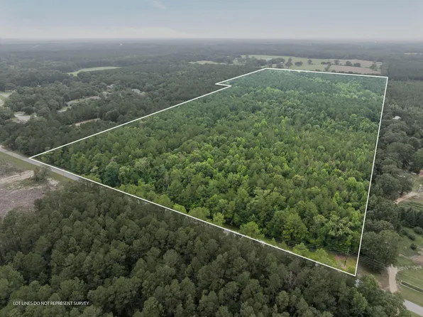 0 Scruggs Rd, Sumrall, MS 39482