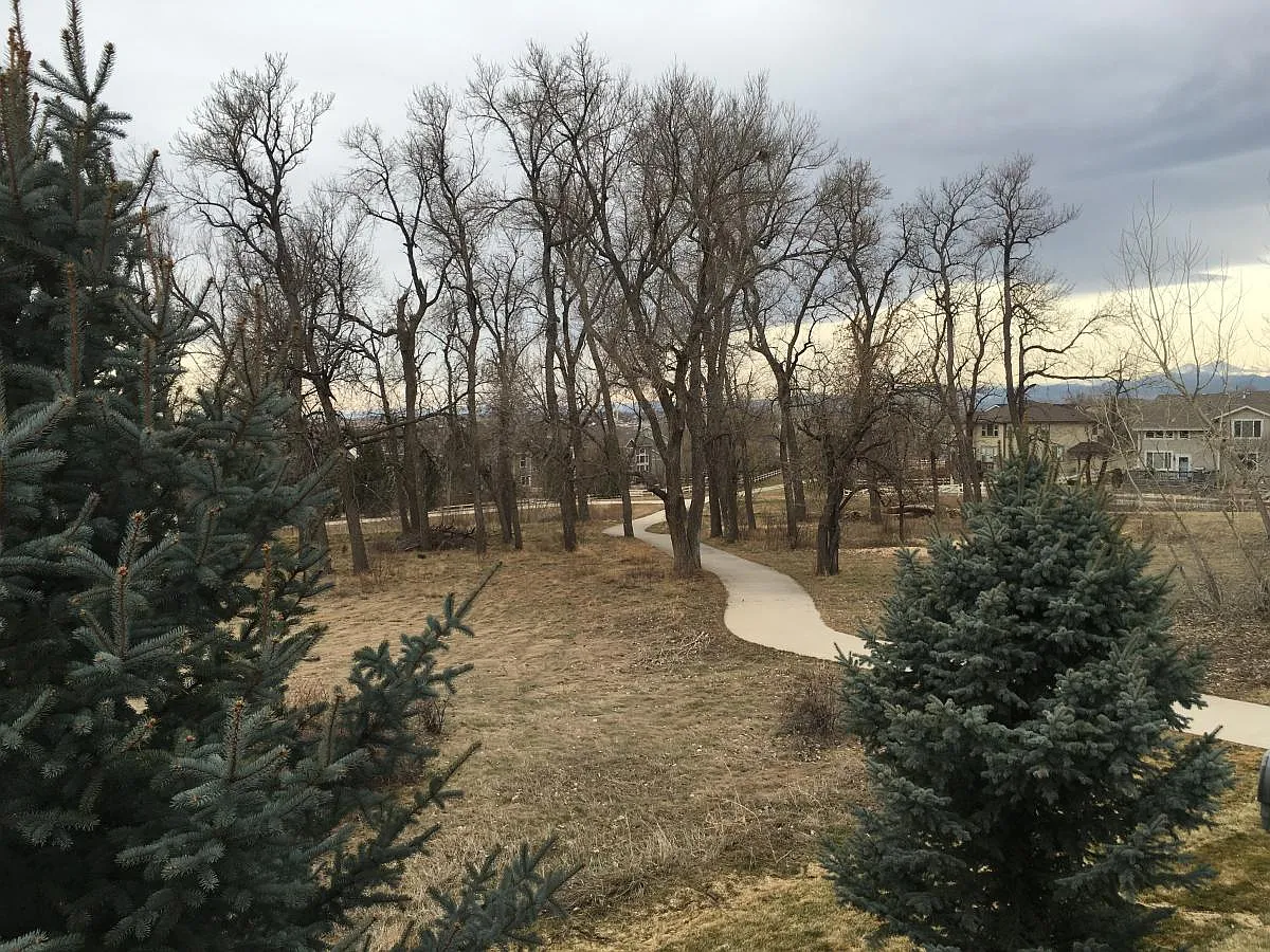 2 bed, 1300 sqft, $2,675 — Photo 3