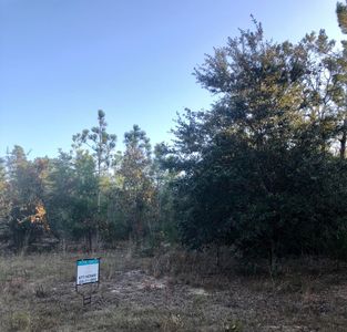 0 Brian Way, Crestview, FL, 32539