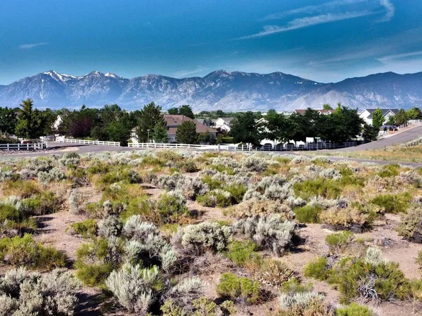 1644 Downs Dr, Minden, NV 89423