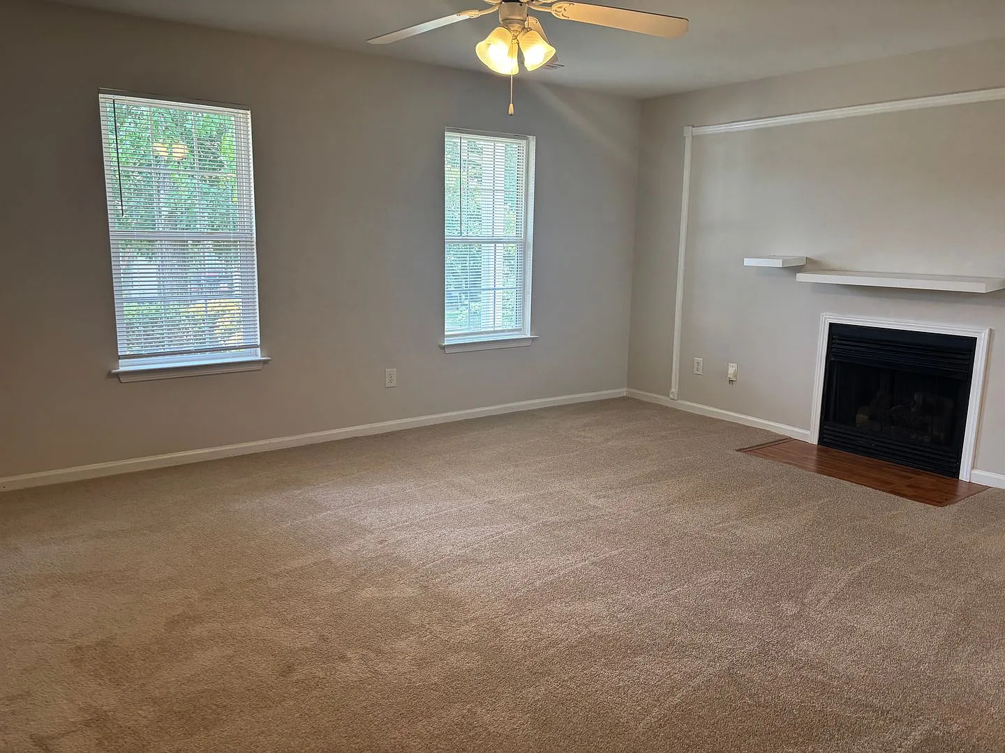 1426 Peach Park Ln — Photo 3